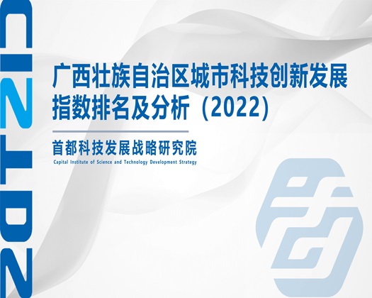 舔用力插入在线视频【成果发布】广西壮族自治区城市科技创新发展指数排名及分析（2022）